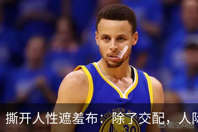 撕开人性遮羞布：除了交配，人际关系全是交易，别不相信